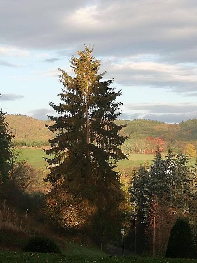 Ferienwohnung in schönster Lage Baar  Exterior foto